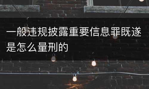 一般违规披露重要信息罪既遂是怎么量刑的