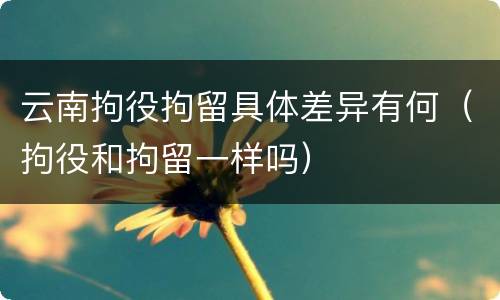 云南拘役拘留具体差异有何（拘役和拘留一样吗）