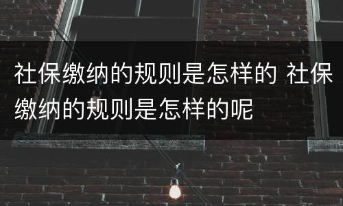 社保缴纳的规则是怎样的 社保缴纳的规则是怎样的呢