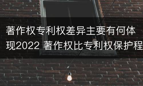 著作权专利权差异主要有何体现2022 著作权比专利权保护程度低