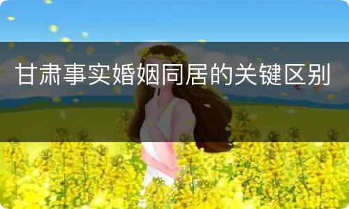 甘肃事实婚姻同居的关键区别