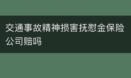 交通事故精神损害抚慰金保险公司赔吗