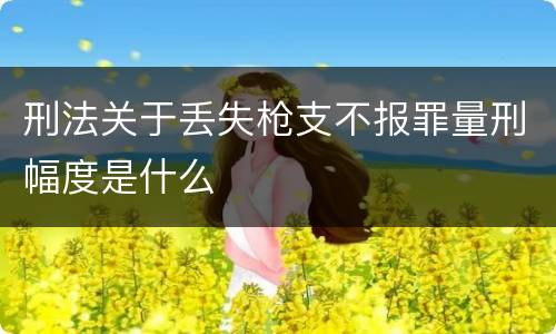 刑法关于丢失枪支不报罪量刑幅度是什么