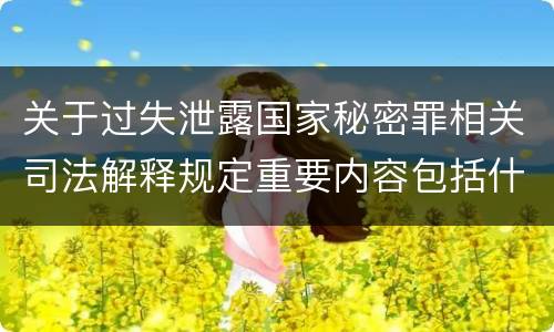 关于过失泄露国家秘密罪相关司法解释规定重要内容包括什么