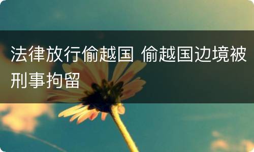 法律放行偷越国 偷越国边境被刑事拘留