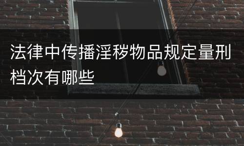 法律中传播淫秽物品规定量刑档次有哪些