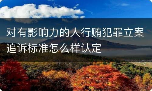 对有影响力的人行贿犯罪立案追诉标准怎么样认定