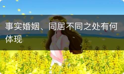 事实婚姻、同居不同之处有何体现