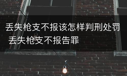 丢失枪支不报该怎样判刑处罚 丢失枪支不报告罪