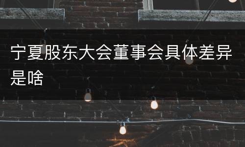 宁夏股东大会董事会具体差异是啥