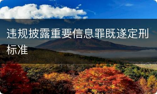 违规披露重要信息罪既遂定刑标准