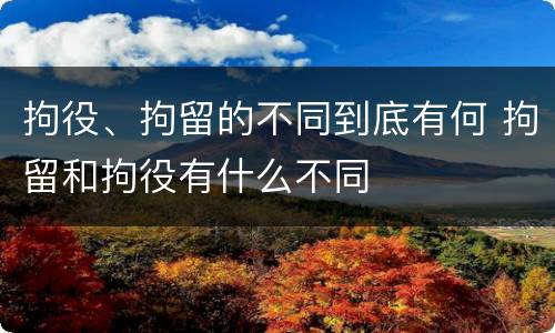 拘役、拘留的不同到底有何 拘留和拘役有什么不同