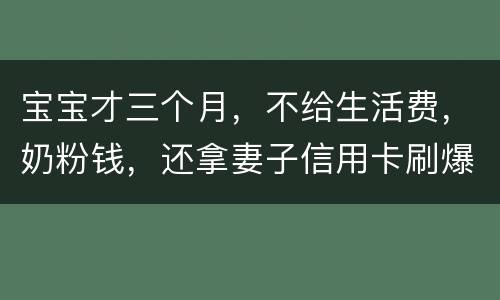 宝宝才三个月，不给生活费，奶粉钱，还拿妻子信用卡刷爆了，没有偿还