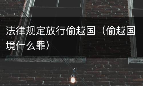 法律规定放行偷越国（偷越国境什么罪）