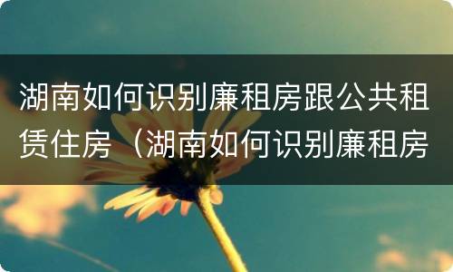 湖南如何识别廉租房跟公共租赁住房（湖南如何识别廉租房跟公共租赁住房的区别）