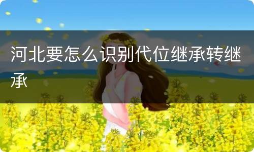 河北要怎么识别代位继承转继承