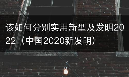 该如何分别实用新型及发明2022（中国2020新发明）