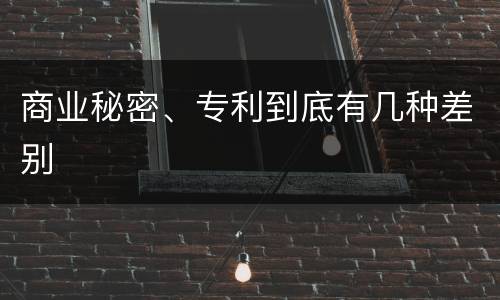 商业秘密、专利到底有几种差别