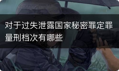 对于过失泄露国家秘密罪定罪量刑档次有哪些