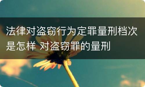 法律对盗窃行为定罪量刑档次是怎样 对盗窃罪的量刑