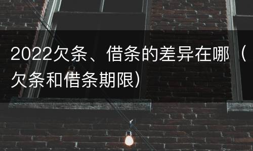 2022欠条、借条的差异在哪（欠条和借条期限）
