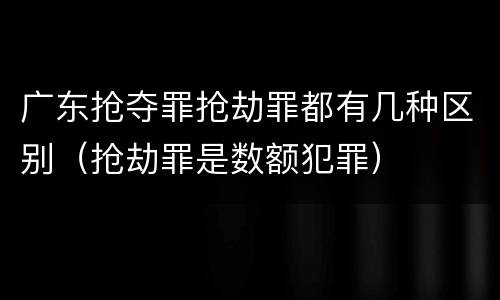广东抢夺罪抢劫罪都有几种区别（抢劫罪是数额犯罪）