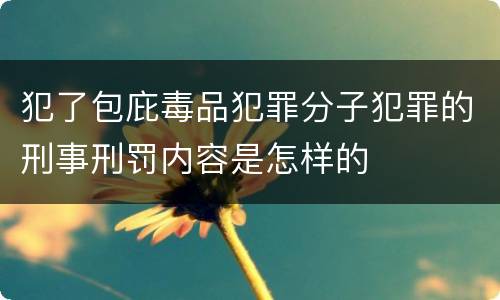 犯了包庇毒品犯罪分子犯罪的刑事刑罚内容是怎样的