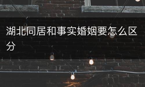 湖北同居和事实婚姻要怎么区分