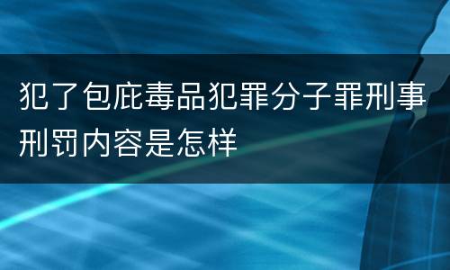 犯了包庇毒品犯罪分子罪刑事刑罚内容是怎样