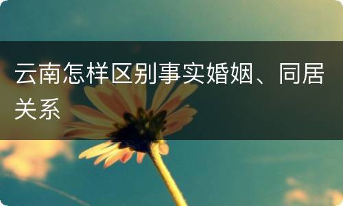 云南怎样区别事实婚姻、同居关系