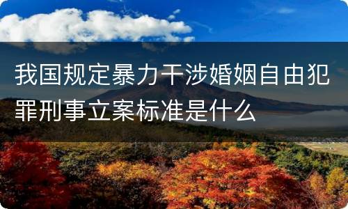 我国规定暴力干涉婚姻自由犯罪刑事立案标准是什么