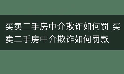 买卖二手房中介欺诈如何罚 买卖二手房中介欺诈如何罚款