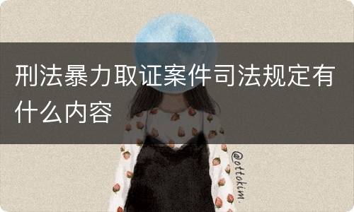 刑法暴力取证案件司法规定有什么内容