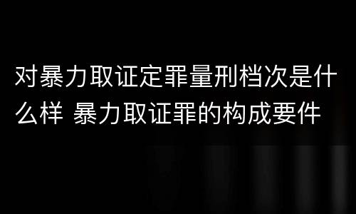 对暴力取证定罪量刑档次是什么样 暴力取证罪的构成要件