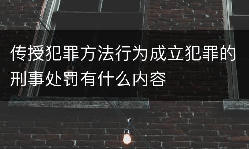 传授犯罪方法行为成立犯罪的刑事处罚有什么内容