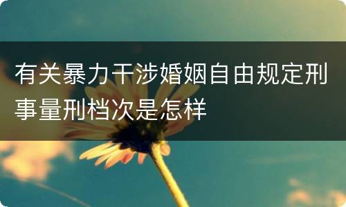 有关暴力干涉婚姻自由规定刑事量刑档次是怎样