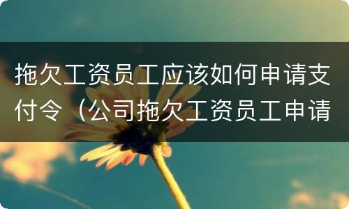 拖欠工资员工应该如何申请支付令（公司拖欠工资员工申请支付令需要付钱吗）