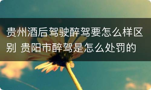 贵州酒后驾驶醉驾要怎么样区别 贵阳市醉驾是怎么处罚的