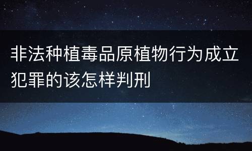 非法种植毒品原植物行为成立犯罪的该怎样判刑
