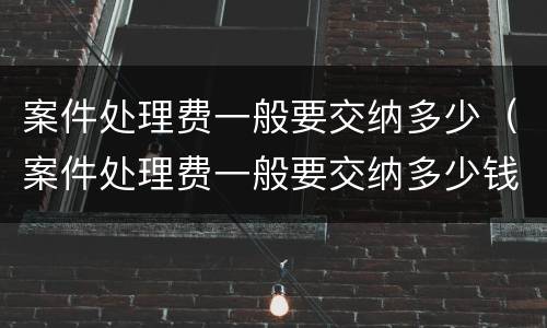 案件处理费一般要交纳多少（案件处理费一般要交纳多少钱）