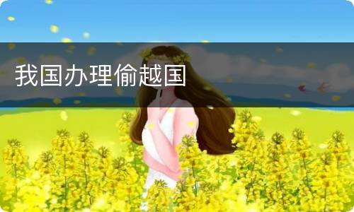 我国办理偷越国