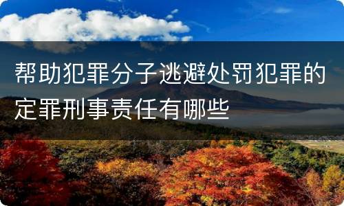 帮助犯罪分子逃避处罚犯罪的定罪刑事责任有哪些