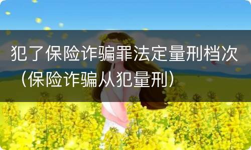 犯了保险诈骗罪法定量刑档次（保险诈骗从犯量刑）