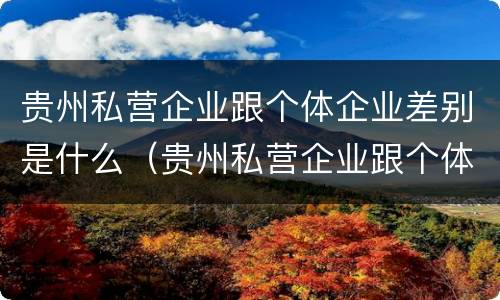 贵州私营企业跟个体企业差别是什么（贵州私营企业跟个体企业差别是什么样的）
