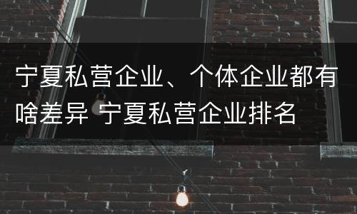 宁夏私营企业、个体企业都有啥差异 宁夏私营企业排名