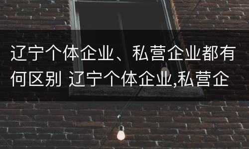 辽宁个体企业、私营企业都有何区别 辽宁个体企业,私营企业都有何区别呢