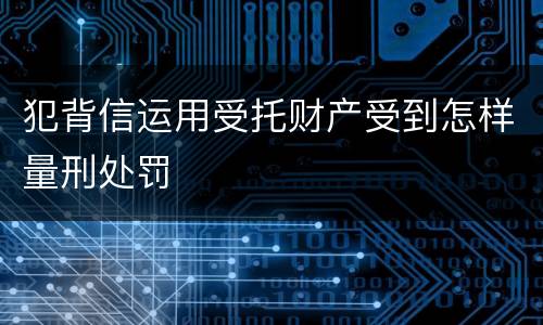 犯背信运用受托财产受到怎样量刑处罚