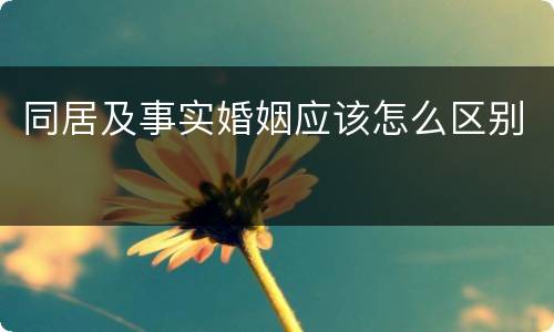 同居及事实婚姻应该怎么区别