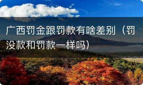 广西罚金跟罚款有啥差别（罚没款和罚款一样吗）