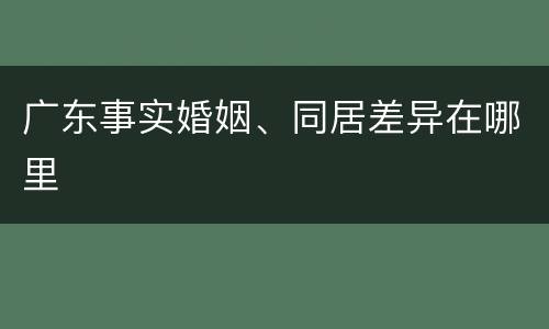 广东事实婚姻、同居差异在哪里